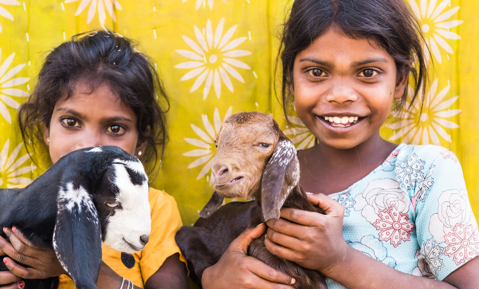 Two pretty smiling girls holding their pet goat. 