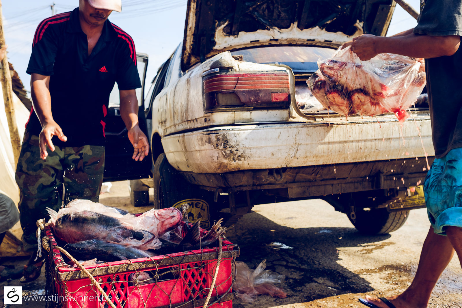Unloading fish out of car