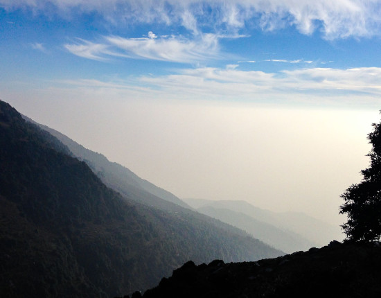 A view from Triund path