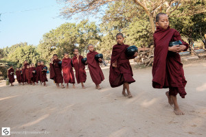 Young monks on one row