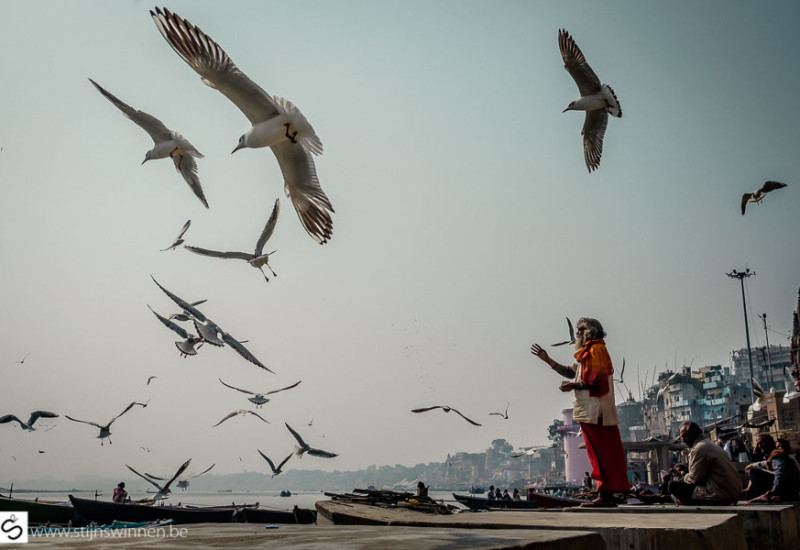 Sadhu feeding bird near Ganges river