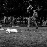 Take the rabbit for a walk