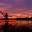 Fisherman in siem reap at sunrise