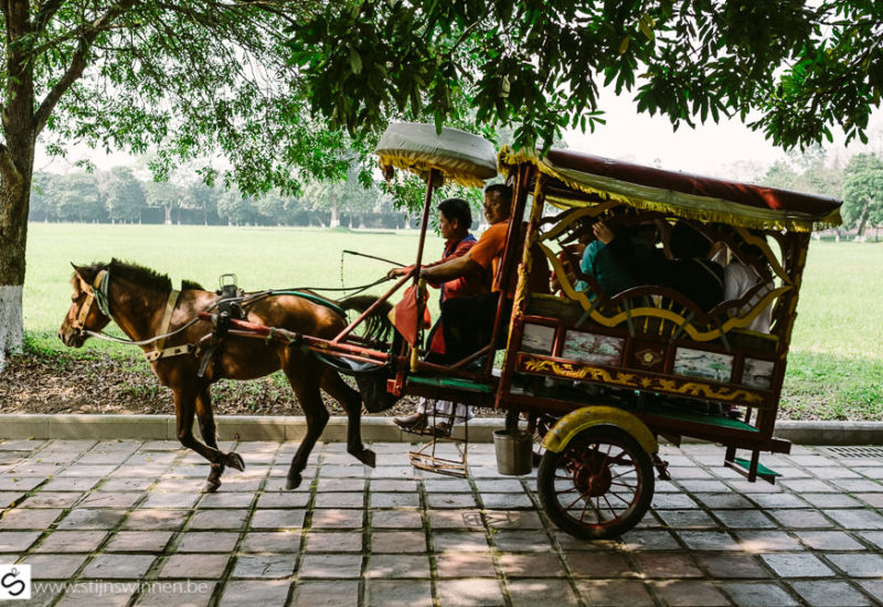 Riding horses and carriage in Hue, Vietnam